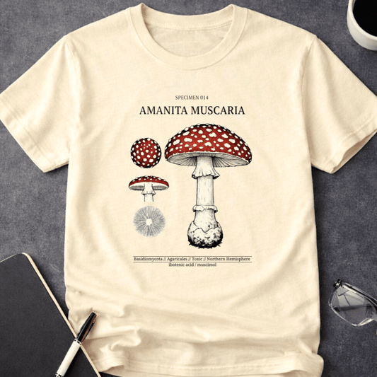 Amanita muscaria