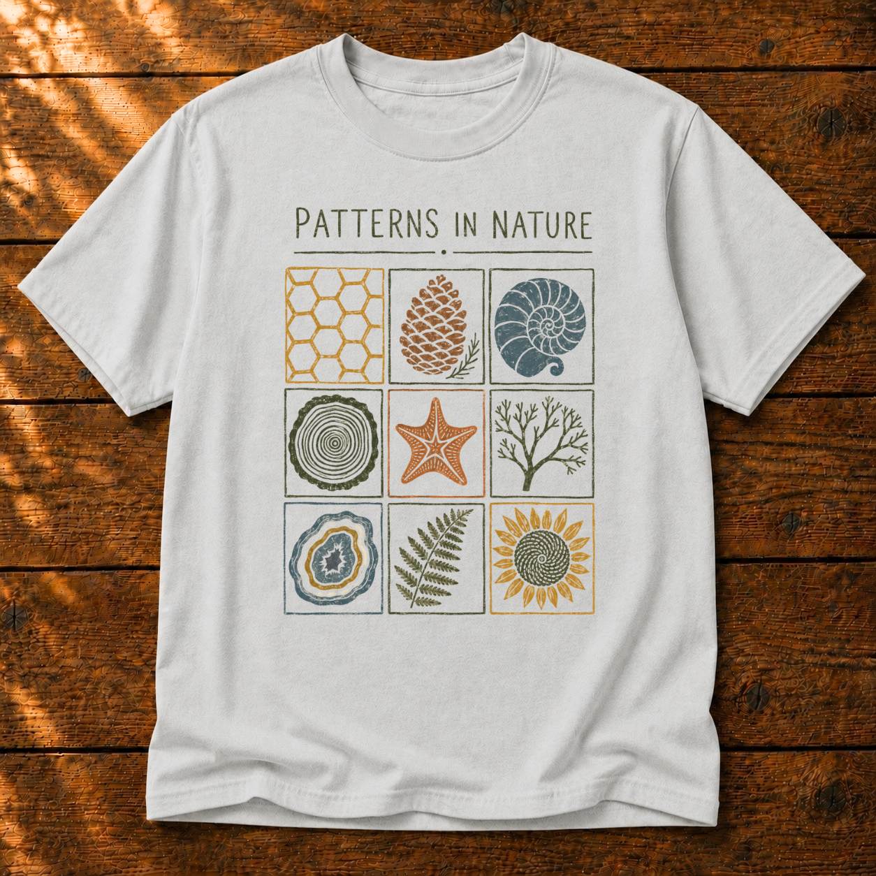 Patterns in Nature