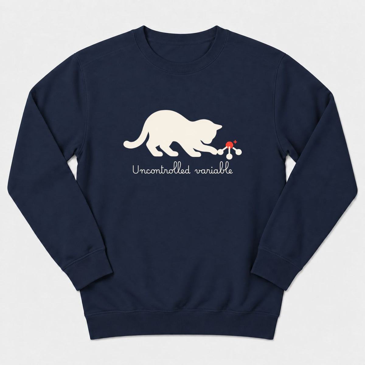 Uncontrolled Variable Sweatshirt