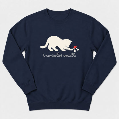 Uncontrolled Variable Sweatshirt