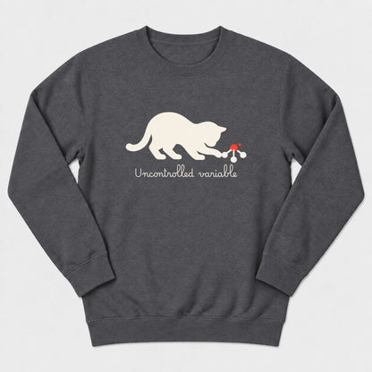 Uncontrolled Variable Sweatshirt